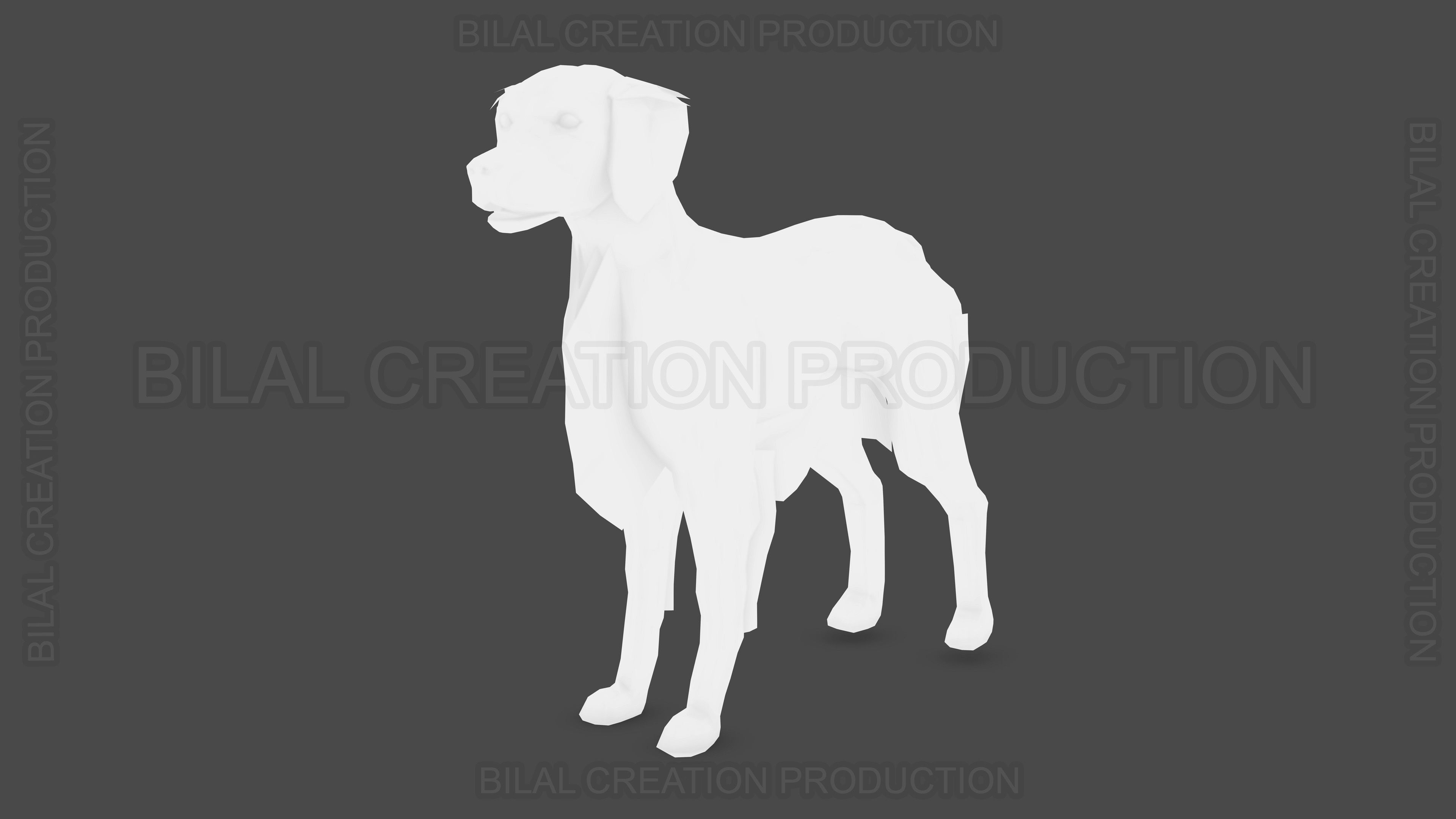 Brittany Dog Animated 3D model_20