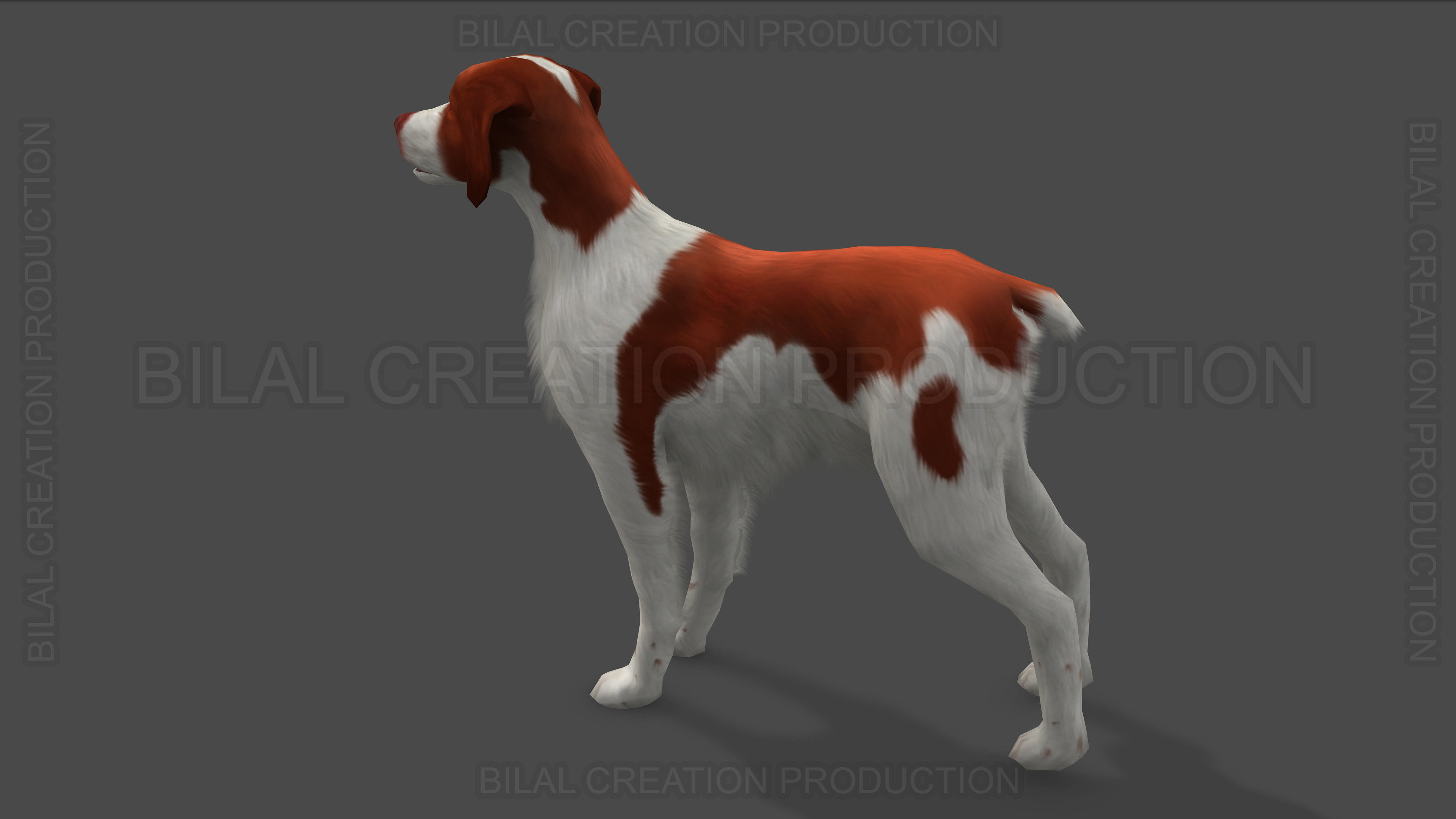 Brittany Dog Animated 3D model_9