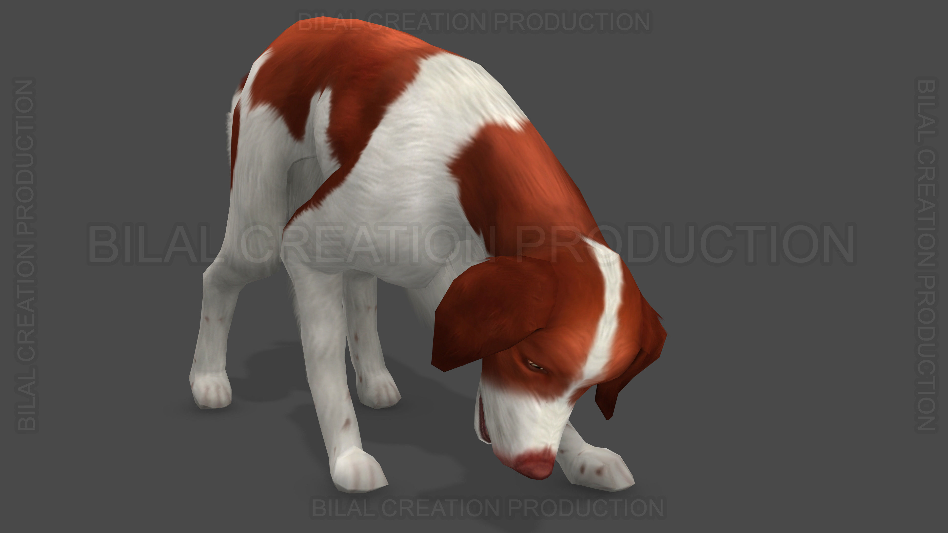 Brittany Dog Animated 3D model_12