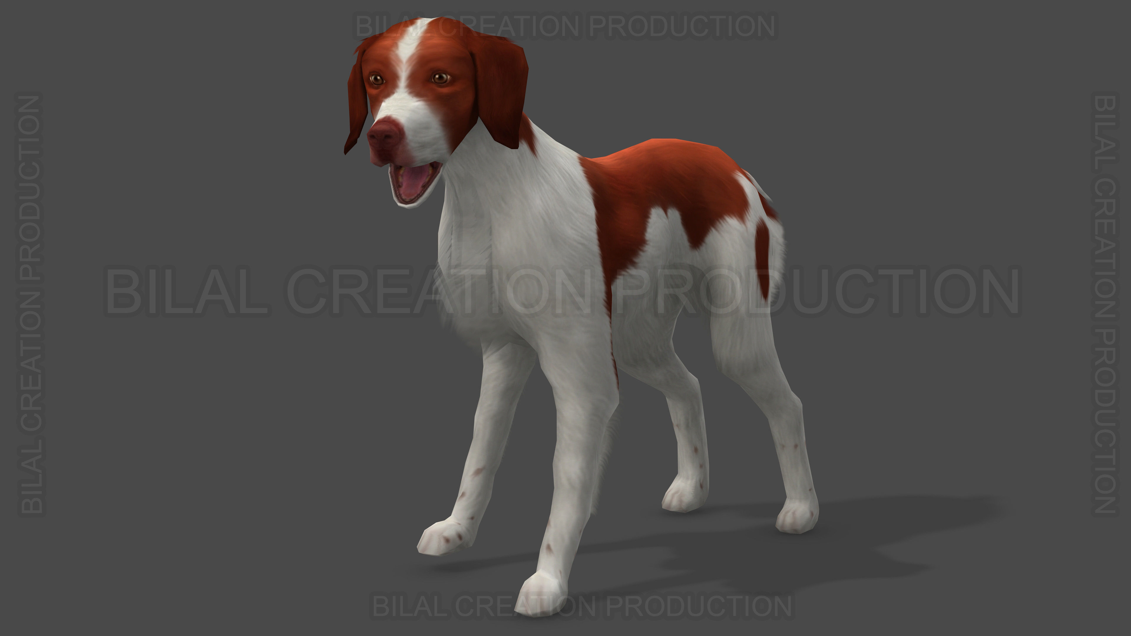 Brittany Dog Animated 3D model_13