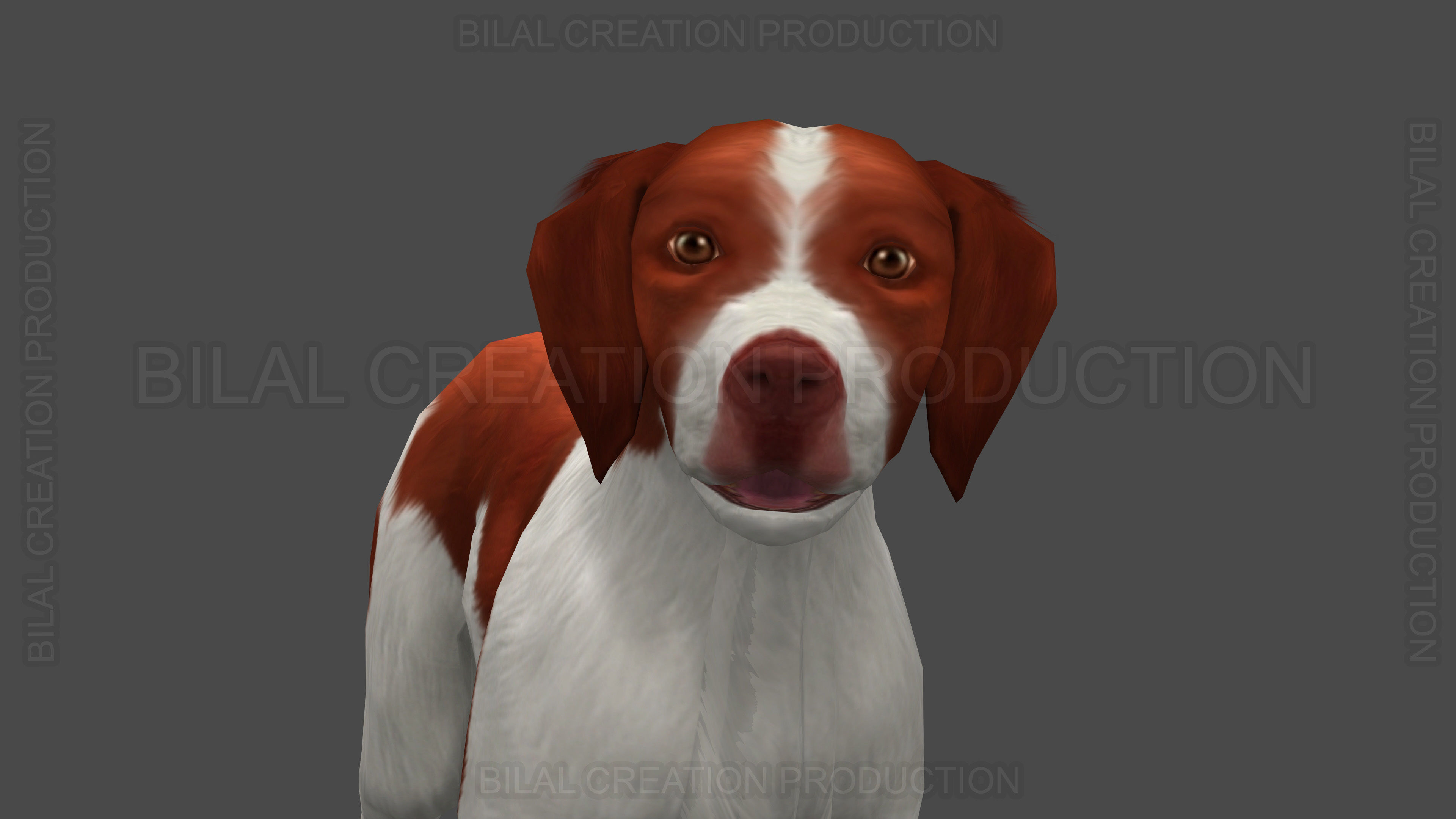 Brittany Dog Animated 3D model_7
