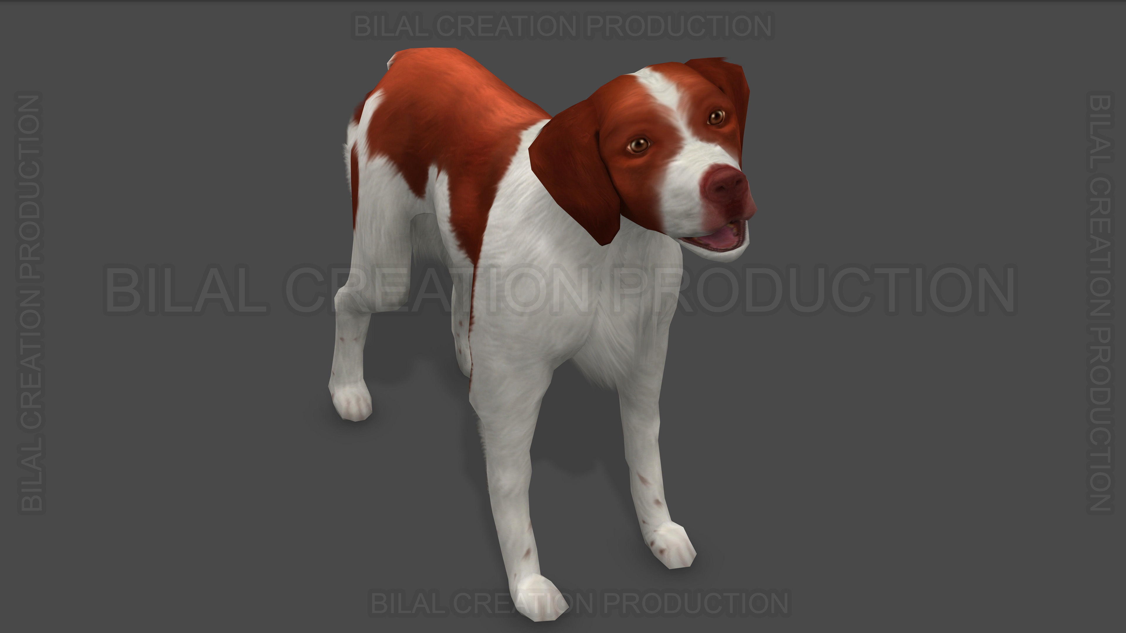 Brittany Dog Animated 3D model_14