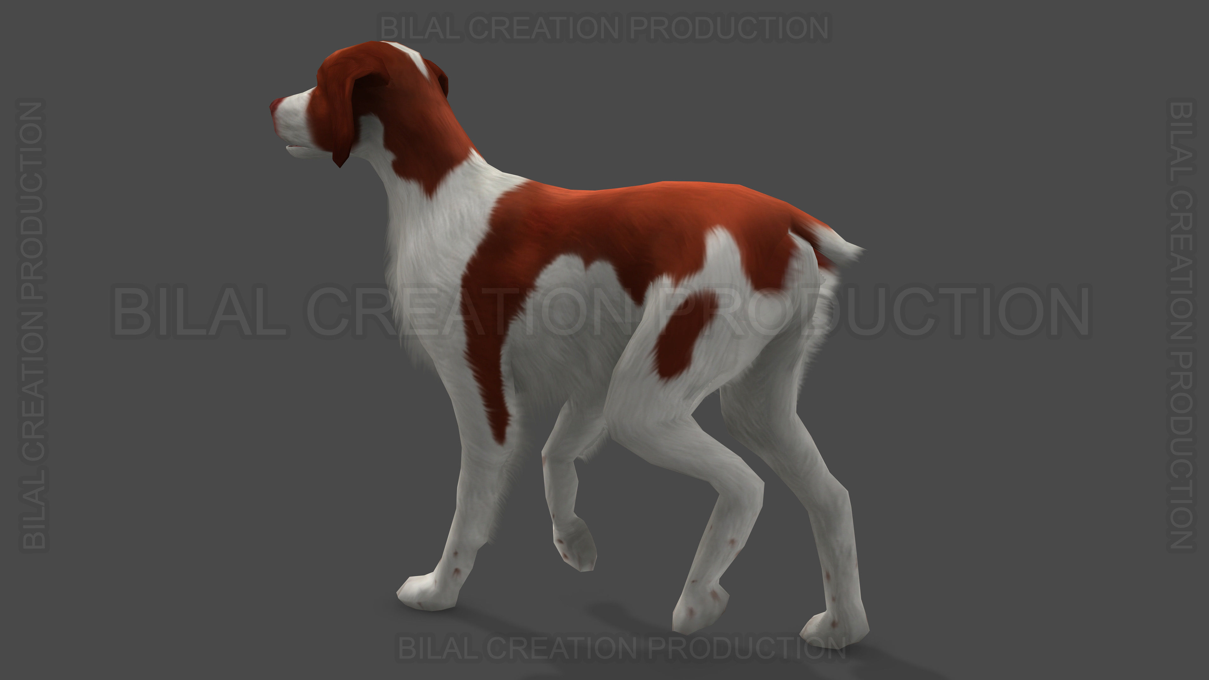 Brittany Dog Animated 3D model_4