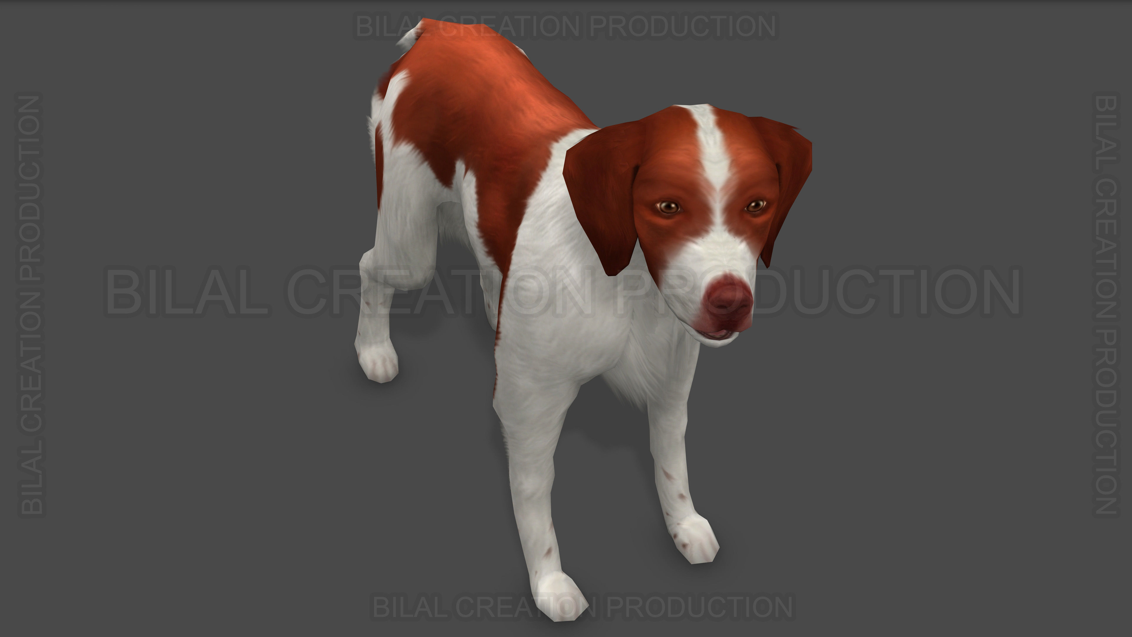 Brittany Dog Animated 3D model_8