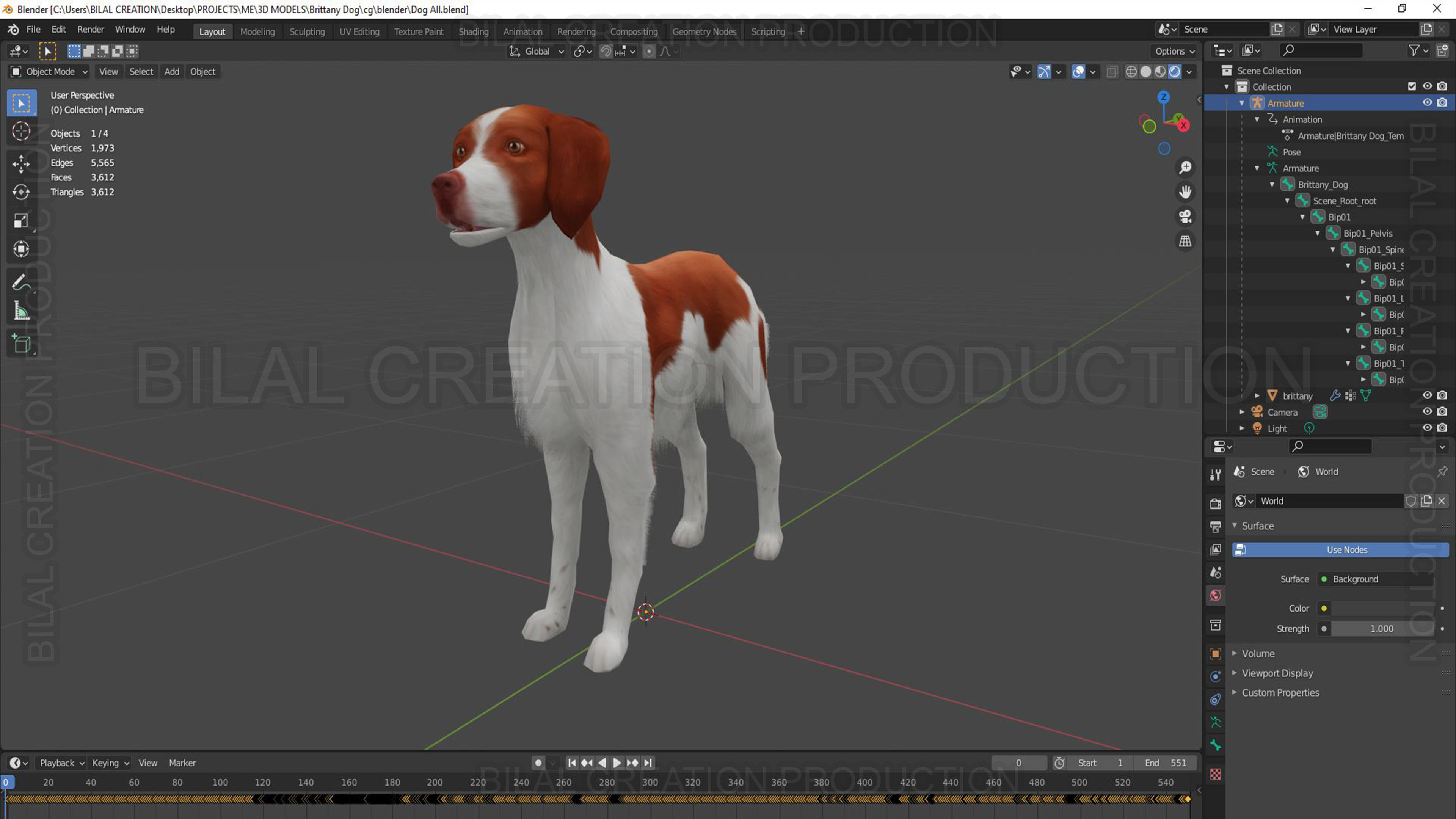 Brittany Dog Animated 3D model_17
