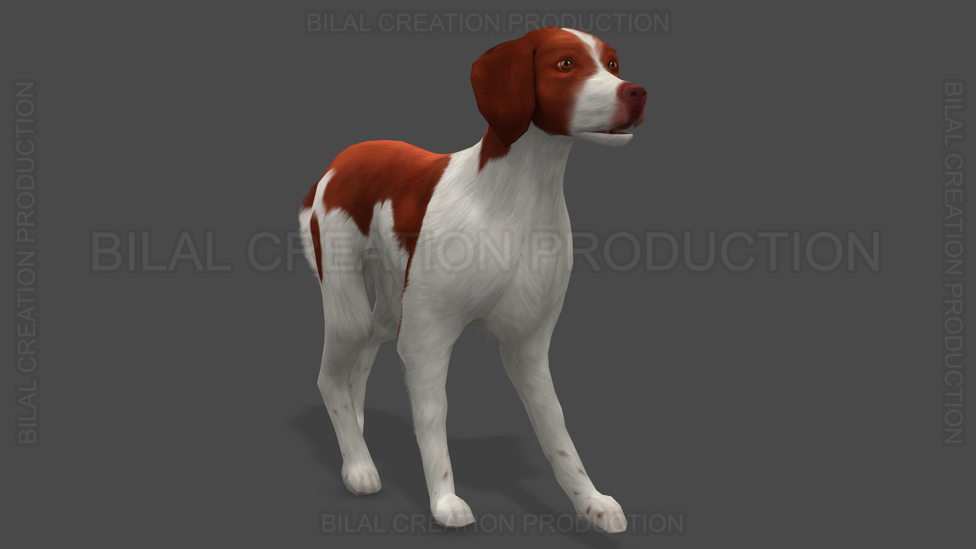 Brittany Dog Animated 3D model_10