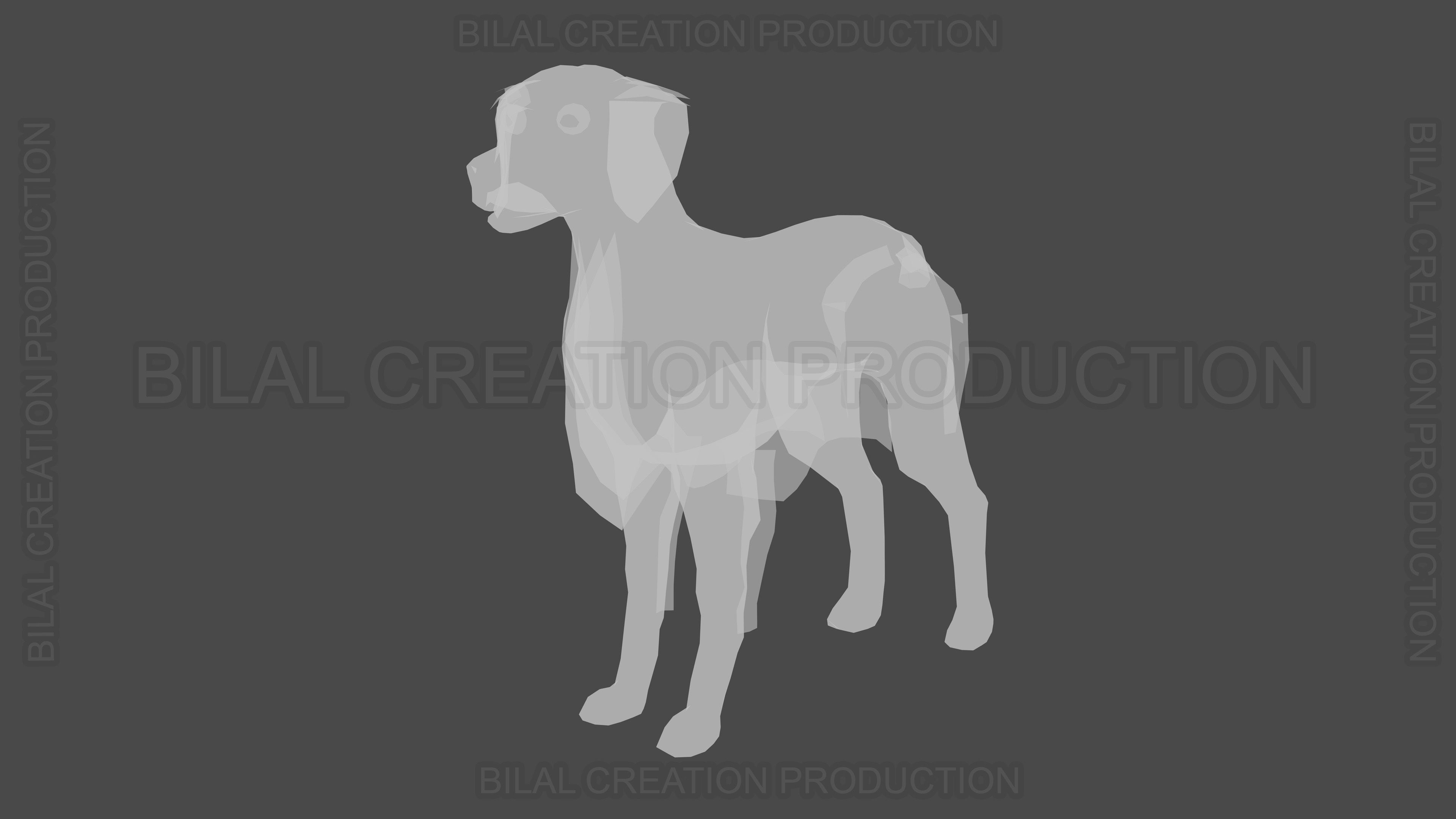 Brittany Dog Animated 3D model_15