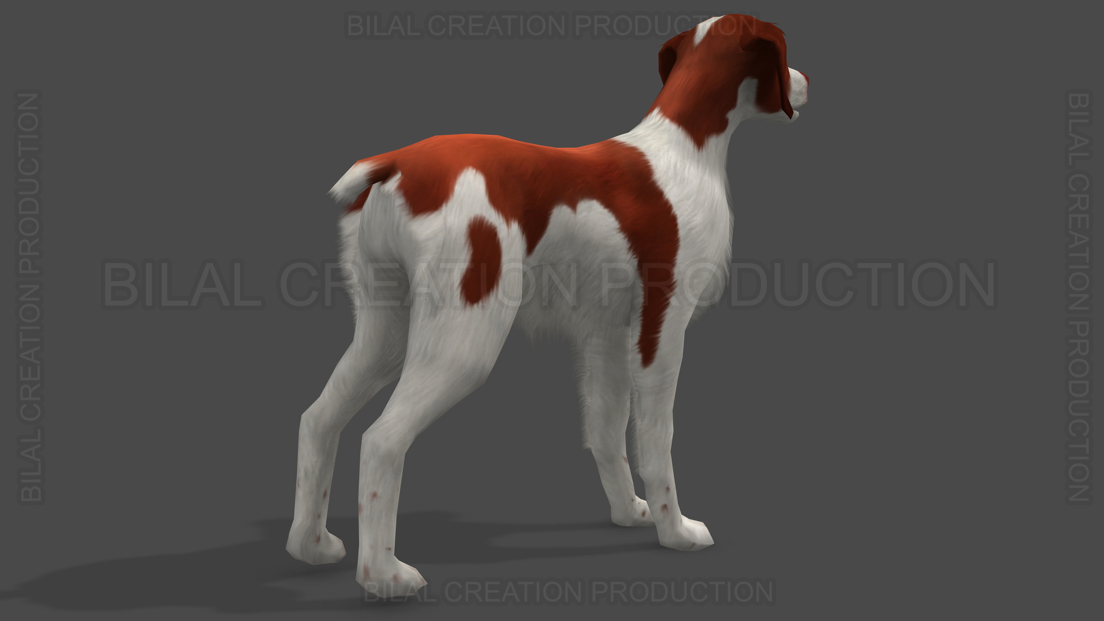 Brittany Dog Animated 3D model_6