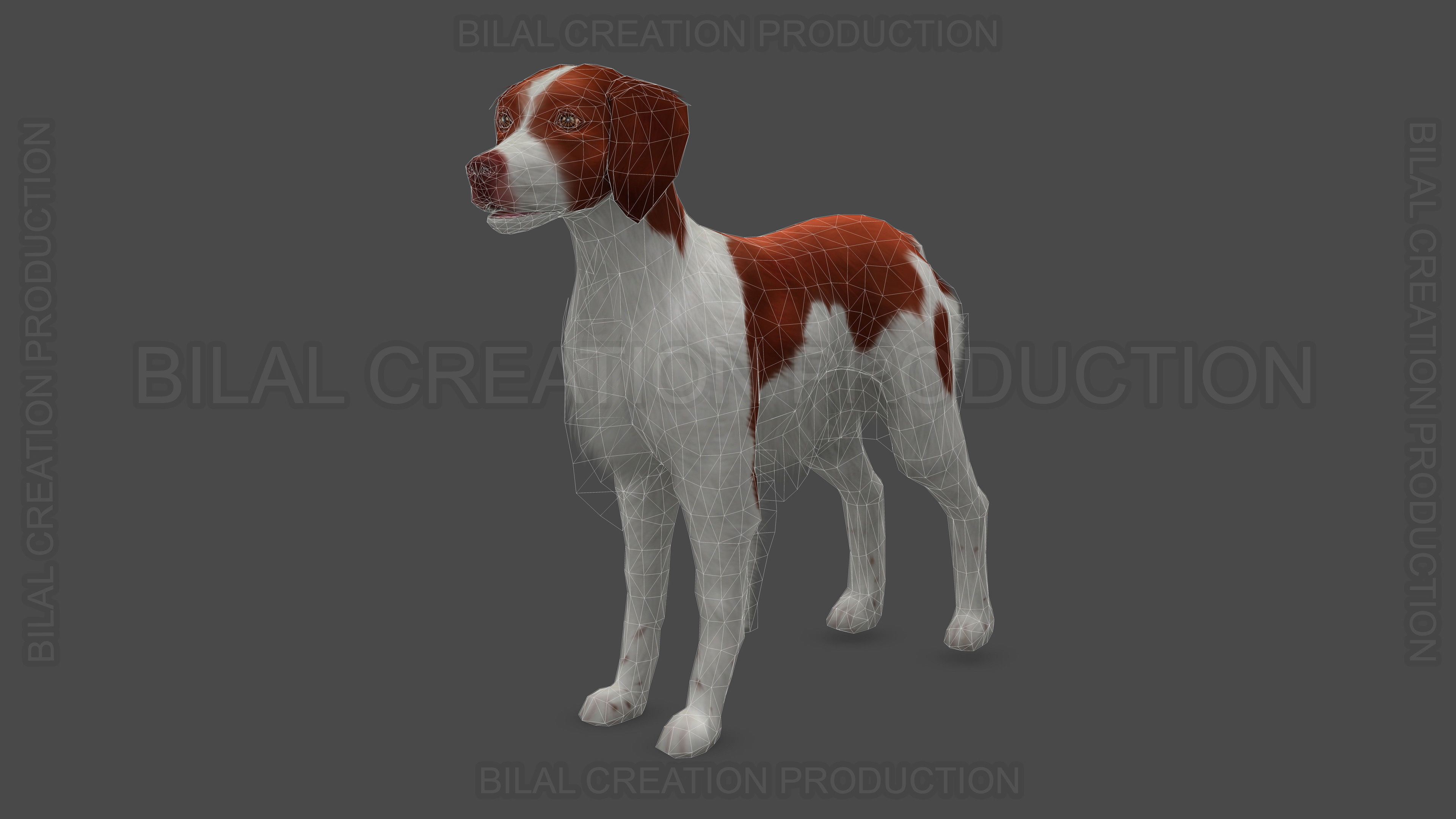 Brittany Dog Animated 3D model_19
