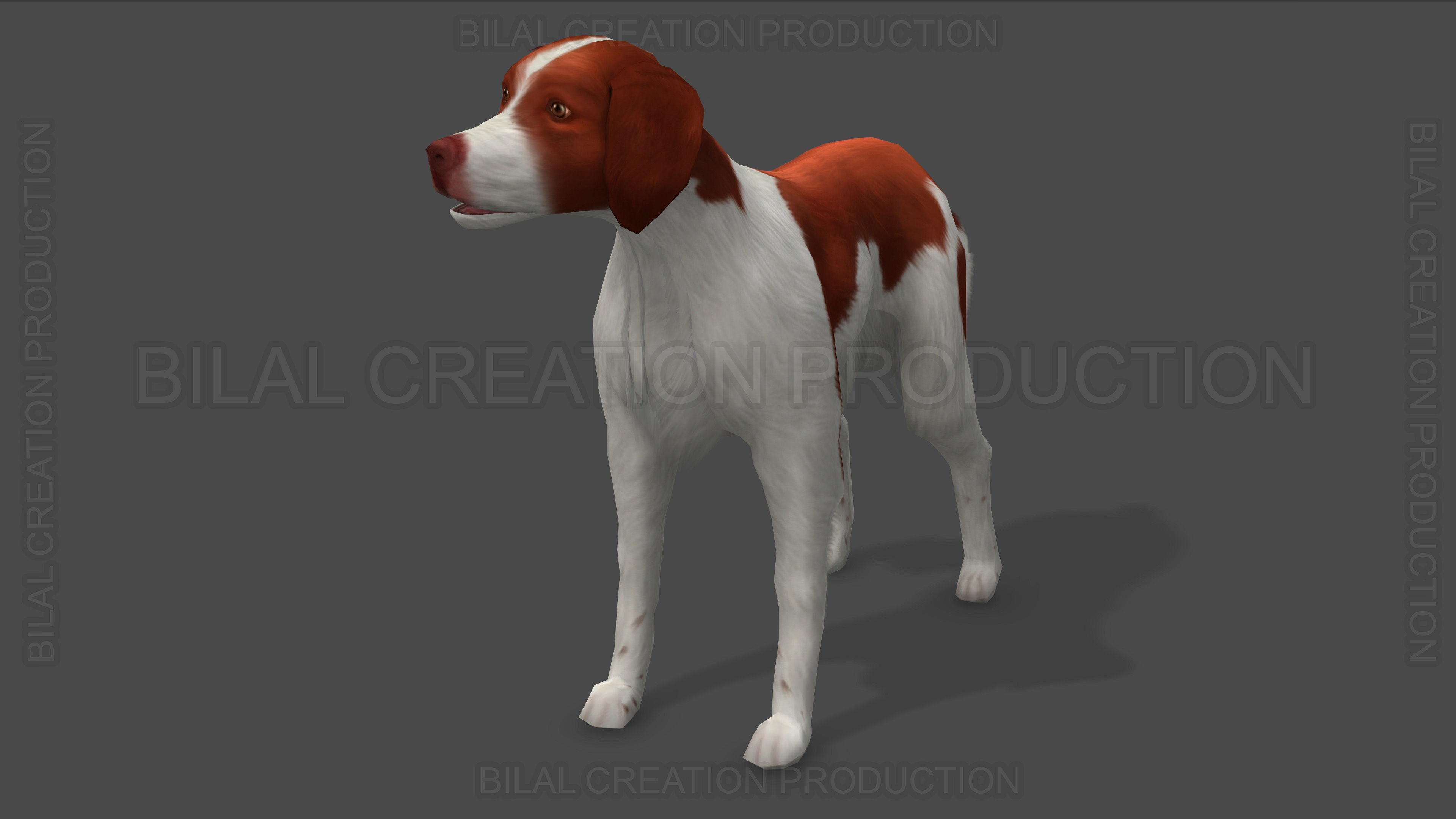 Brittany Dog Animated 3D model_16