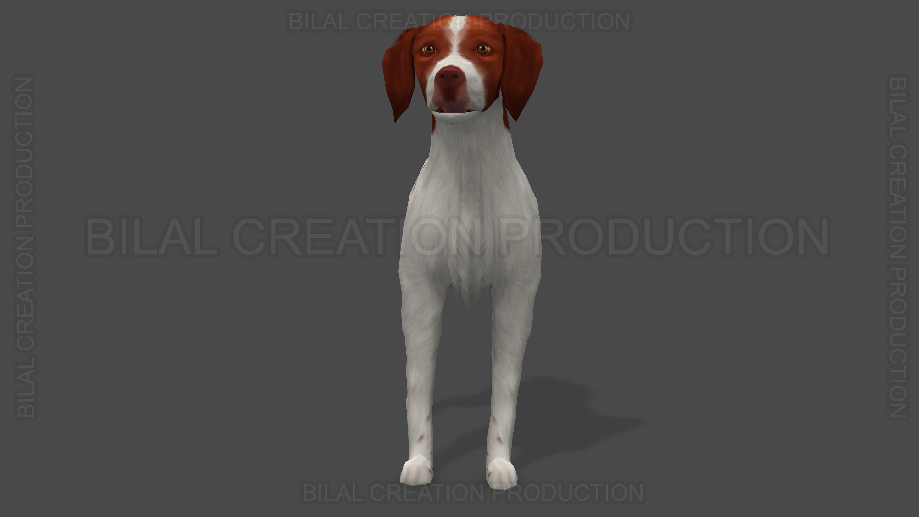 Brittany Dog Animated 3D model_2