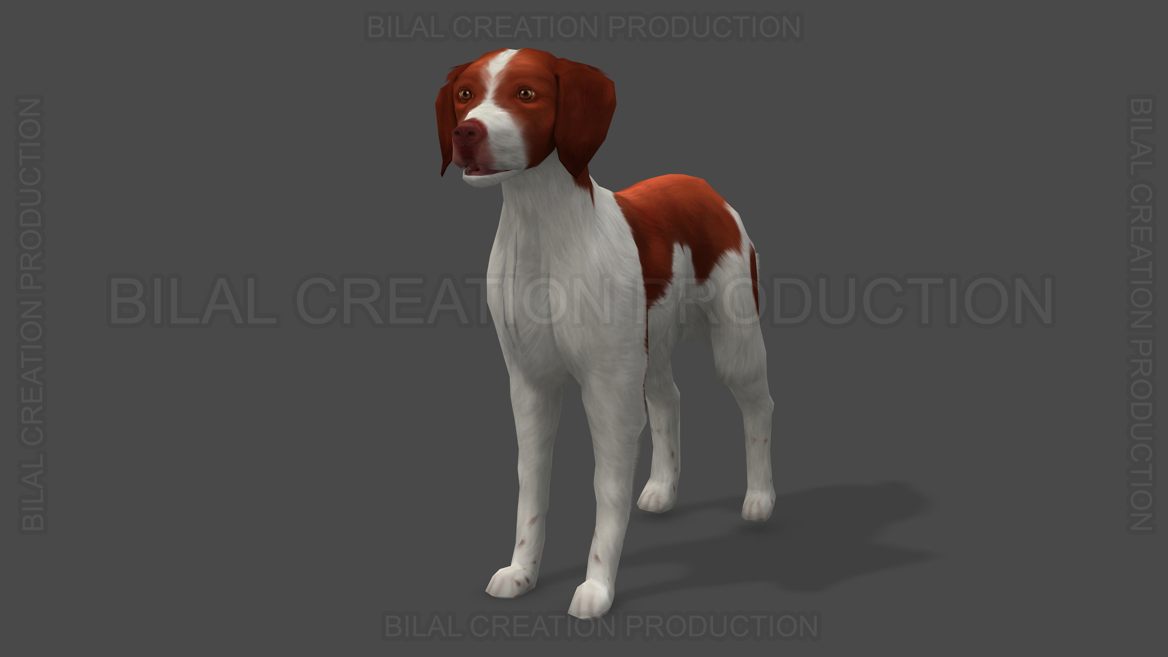 Brittany Dog Animated 3D model_3