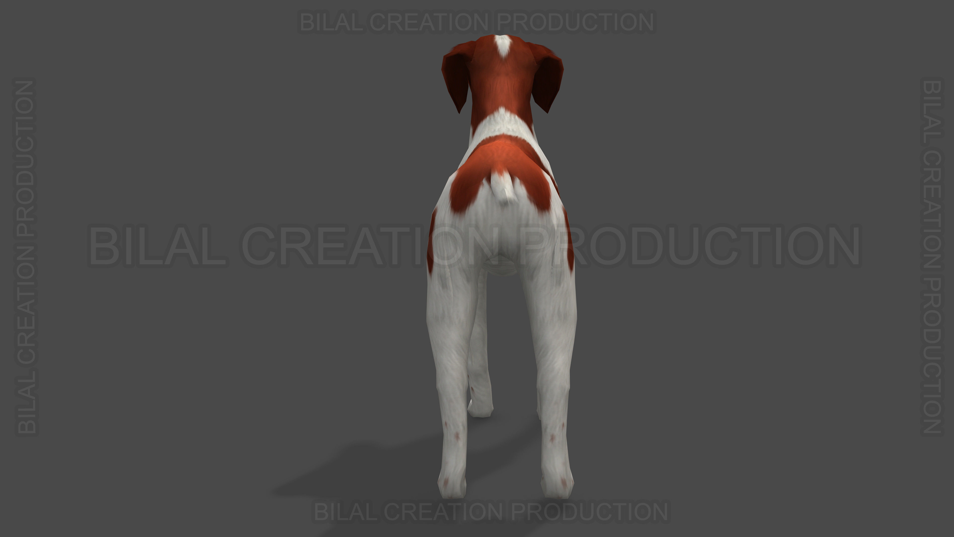 Brittany Dog Animated 3D model_5