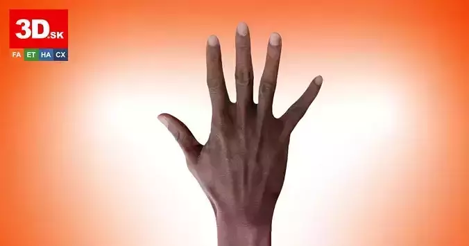 Retopologized 3D Hand scan of Eddison Bates