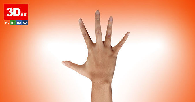 Retopologized 3D Hand scan of Alexia Madrid 3D model