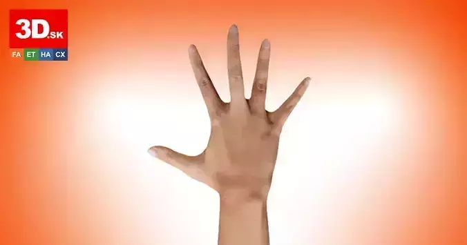 Retopologized 3D Hand scan of Alexia Madrid 3D model Retopologized 3D Hand scan of Alexia Madrid 3D model