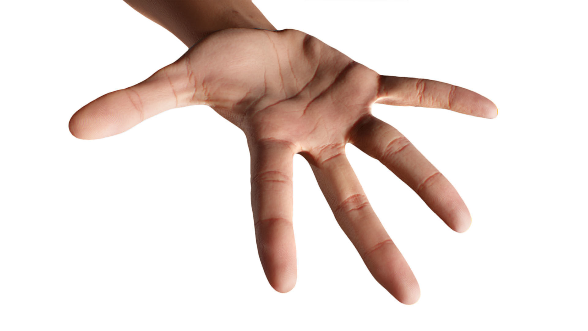 Retopologized 3D Hand scan of Alexia Madrid 3D model_5