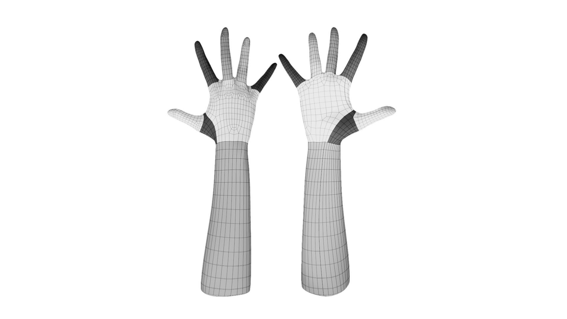 Retopologized 3D Hand scan of Alexia Madrid 3D model_8
