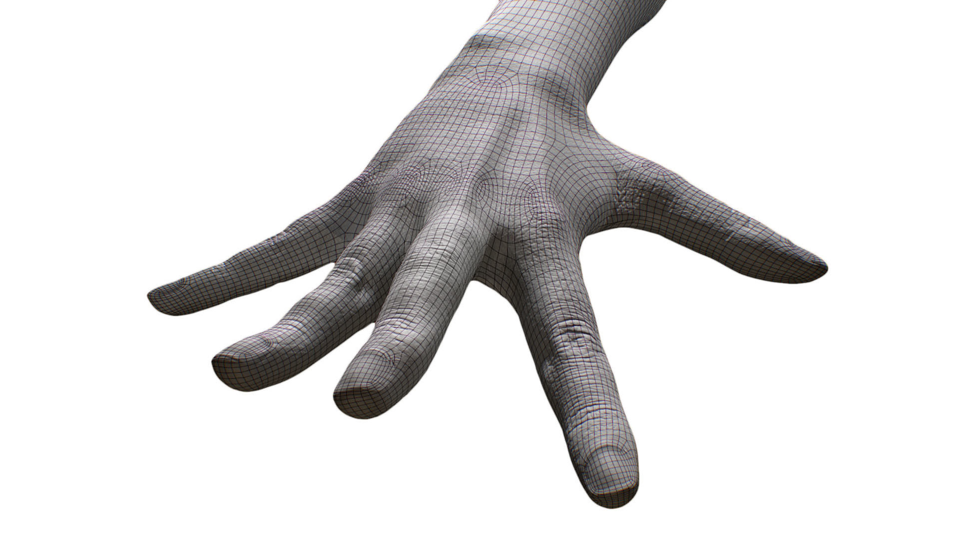 Retopologized 3D Hand scan of Alexia Madrid 3D model_4