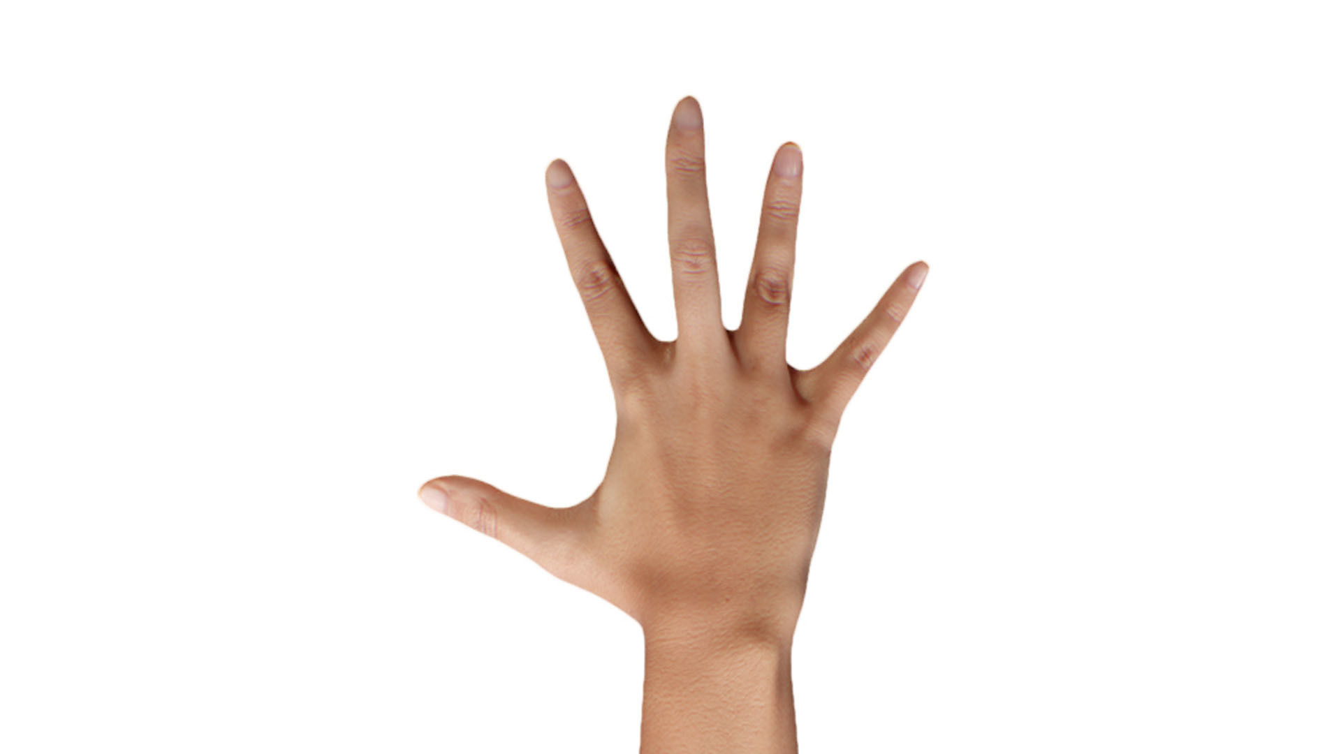 Retopologized 3D Hand scan of Alexia Madrid 3D model_6