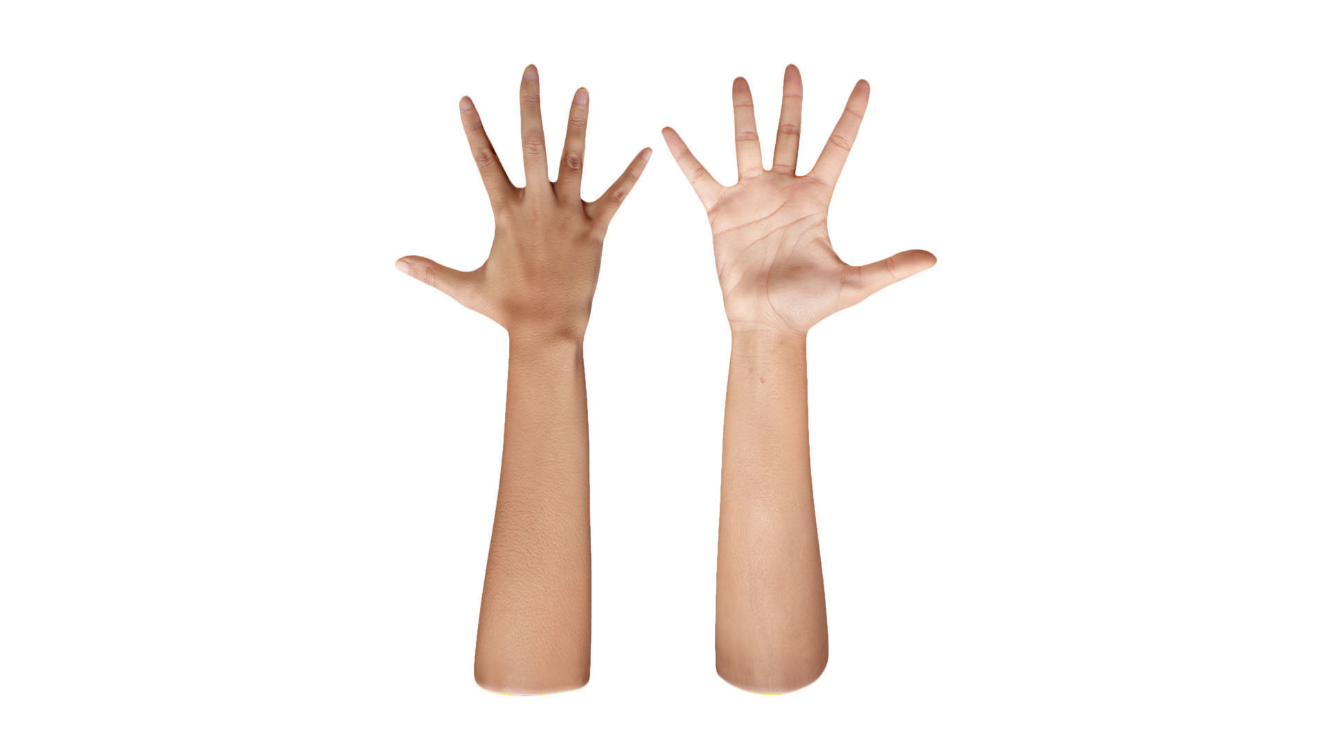 Retopologized 3D Hand scan of Alexia Madrid 3D model_7