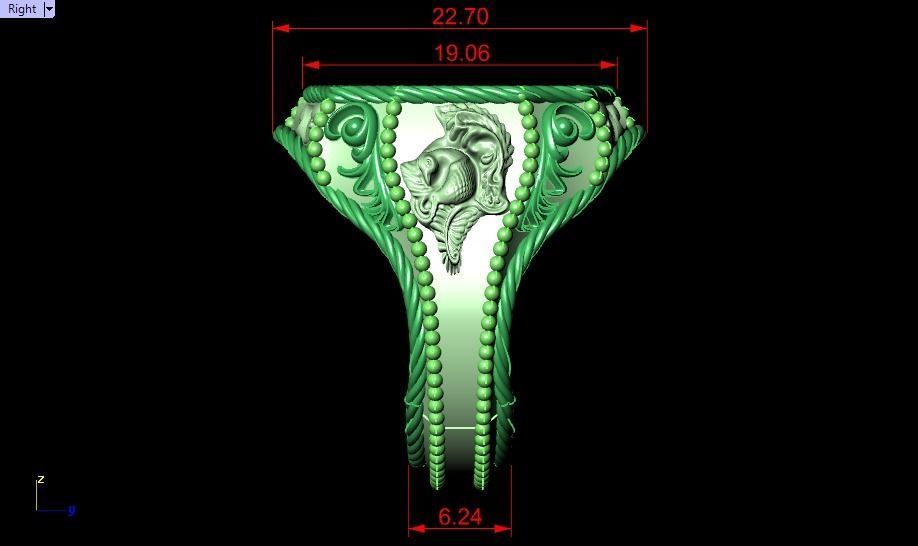 ornamental ring 3D print model_6