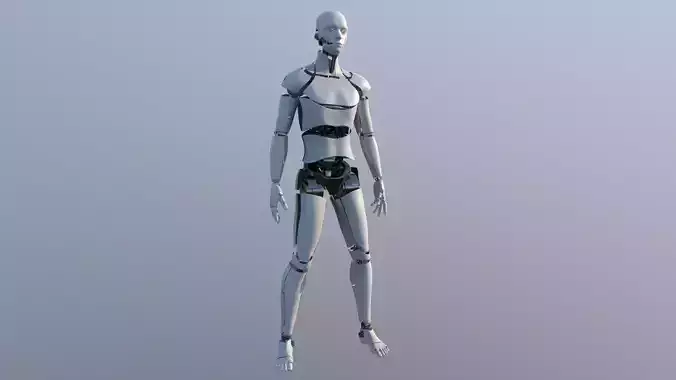 Android Male Low-poly 3D model