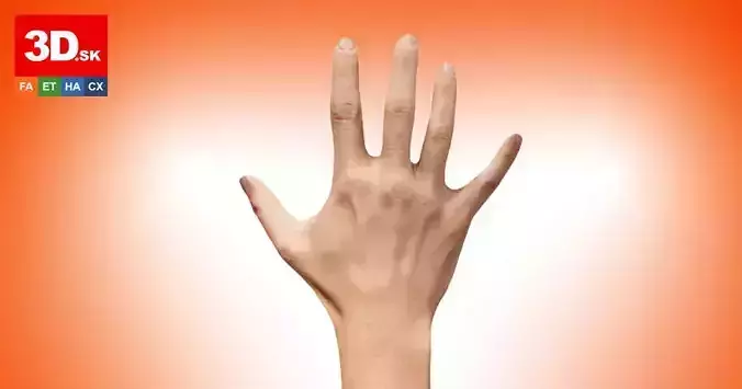 Retopologized 3D Hand scan of Rylen Cannon