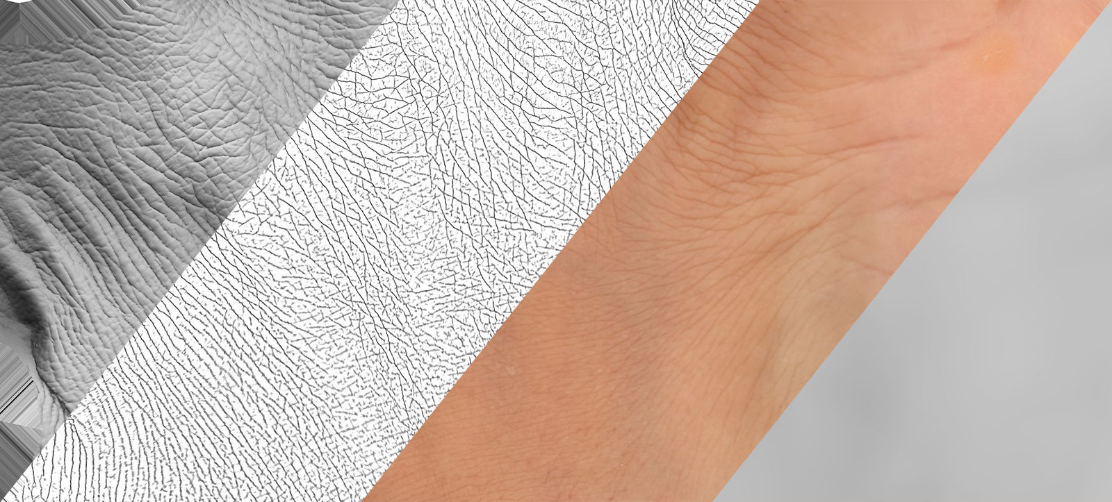 Retopologized 3D Hand scan of Raenia Freeman 3D model_10