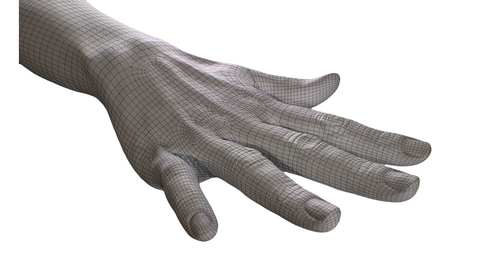 Retopologized 3D Hand scan of Raenia Freeman 3D model_4