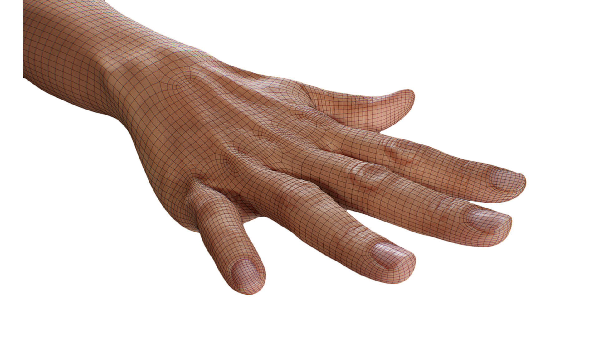 Retopologized 3D Hand scan of Raenia Freeman 3D model_2