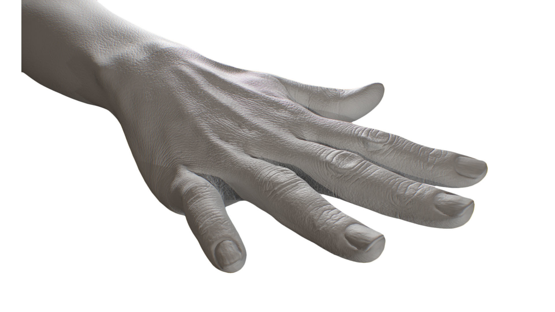 Retopologized 3D Hand scan of Raenia Freeman 3D model_3