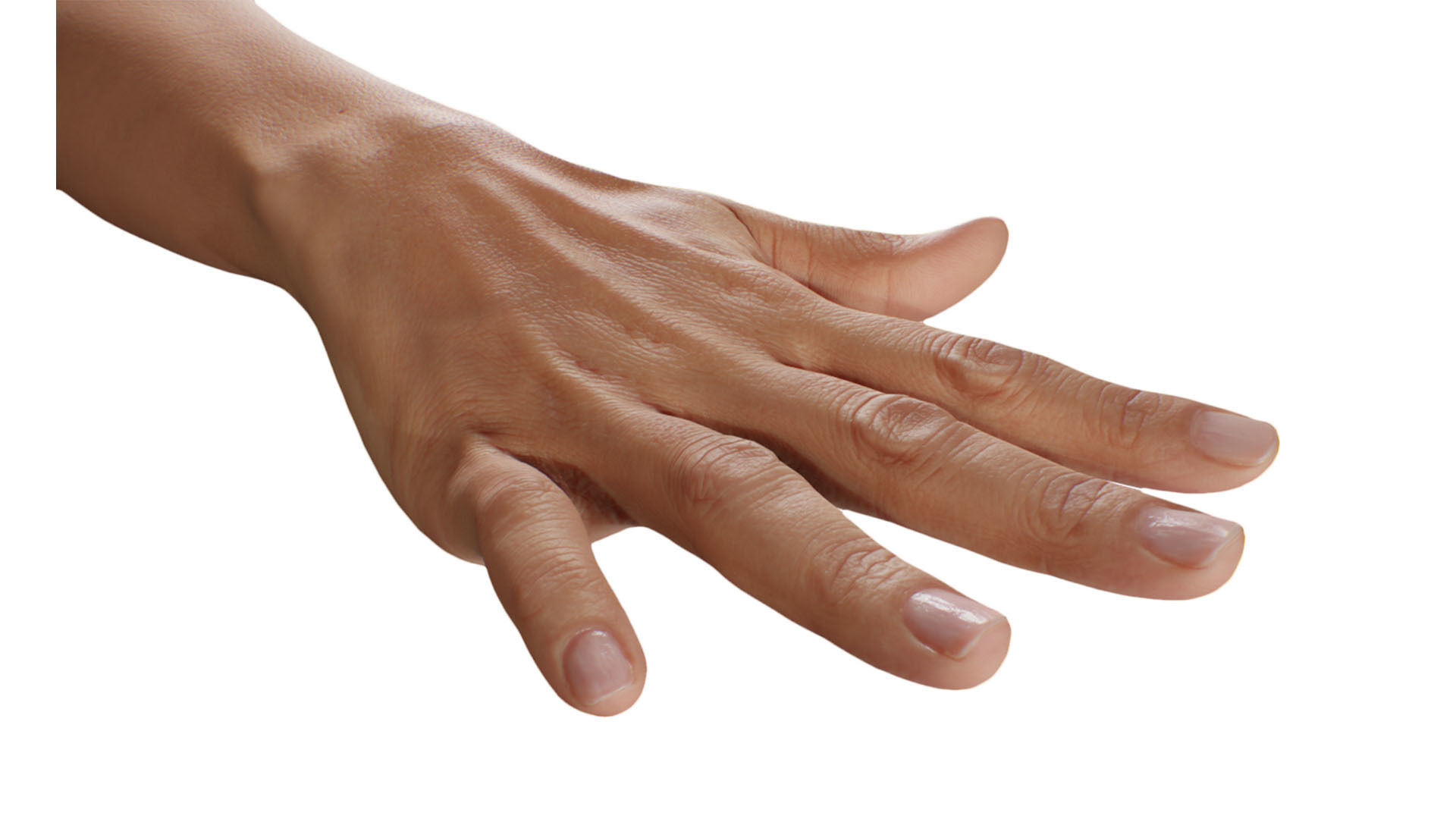 Retopologized 3D Hand scan of Raenia Freeman 3D model_1