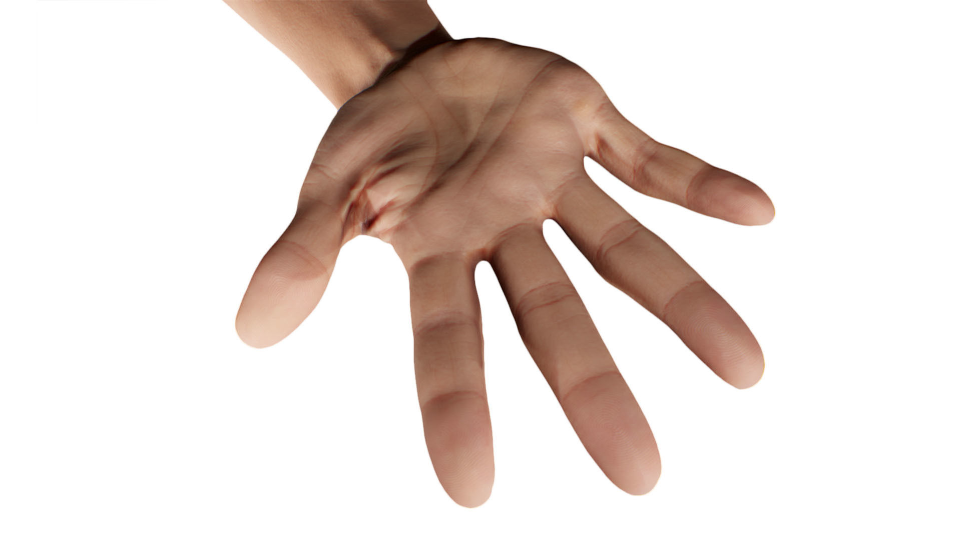 Retopologized 3D Hand scan of Raenia Freeman 3D model_5