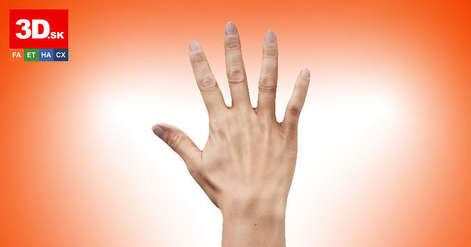 Retopologized 3D Hand scan of Raenia Freeman 3D model