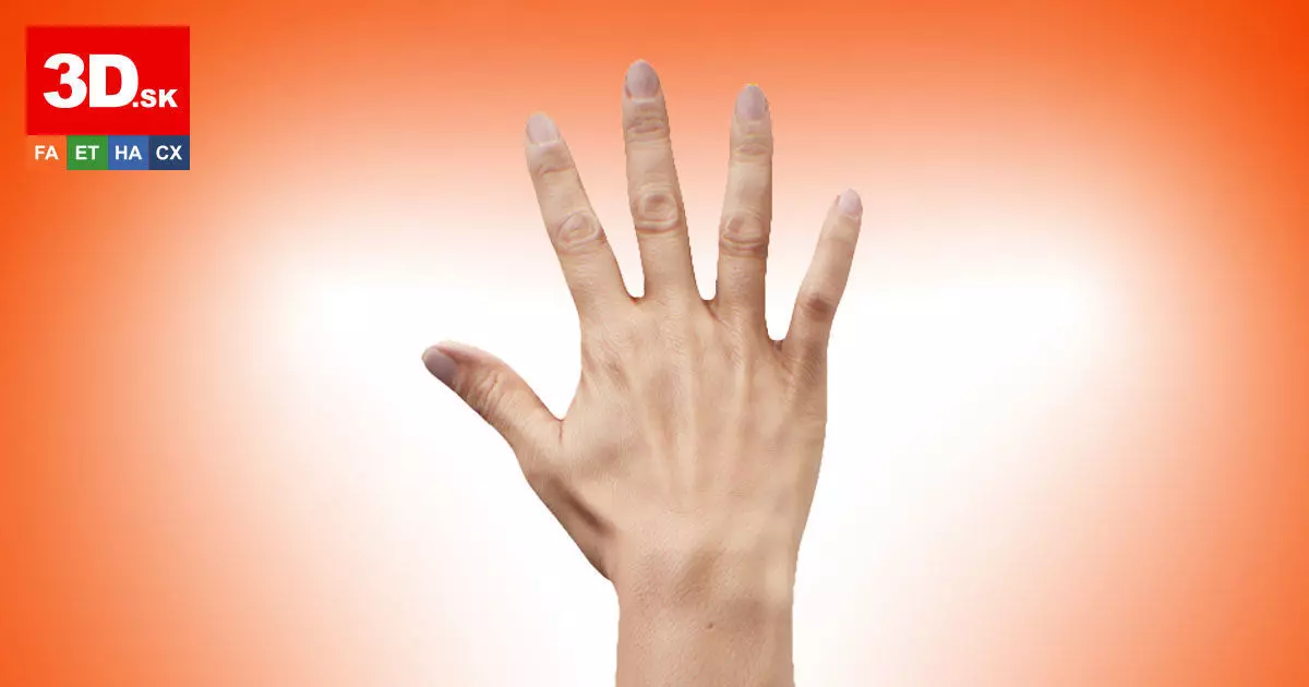 Retopologized 3D Hand scan of Raenia Freeman 3D model_0