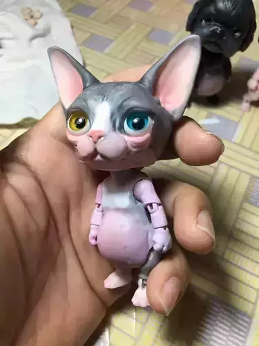 Sphynx cat  BJD