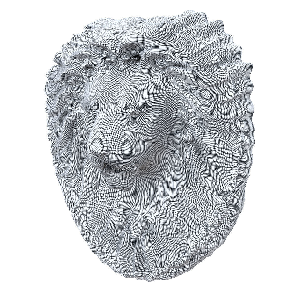 Beautiful detailed bas-relief of a lions head 3D model_5