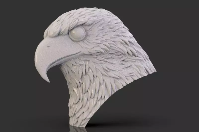 Eagle Head 3D print model_0