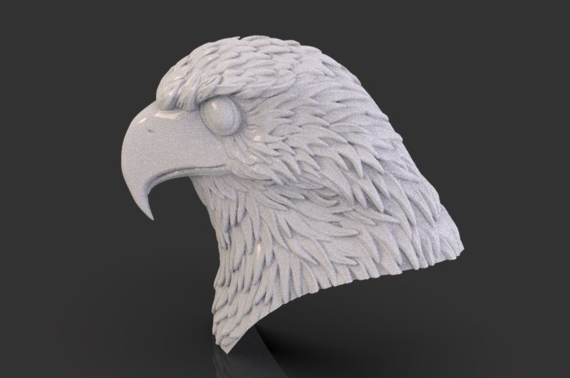 Eagle Head 3D print model_10