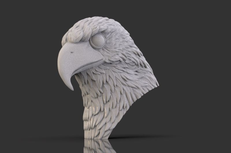 Eagle Head 3D print model_5