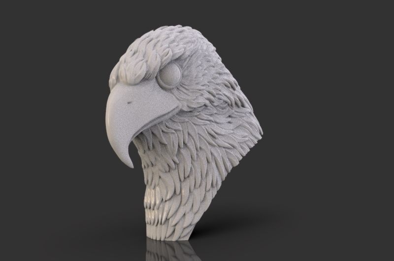 Eagle Head 3D print model_7