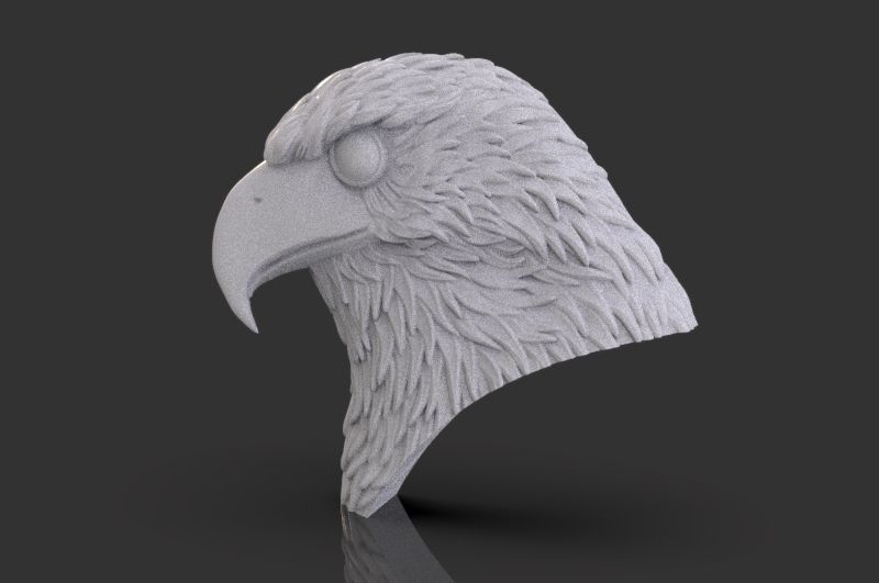 Eagle Head 3D print model_2