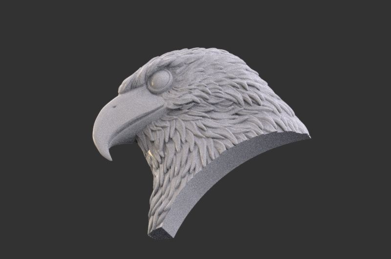 Eagle Head 3D print model_6