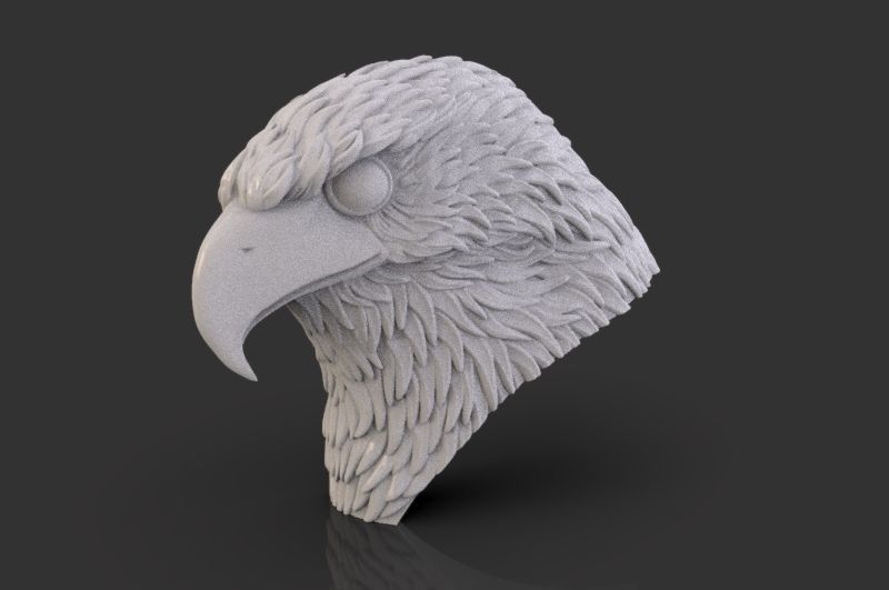Eagle Head 3D print model_4