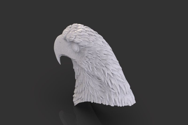 Eagle Head 3D print model_8