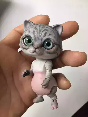 American shorthair BJD