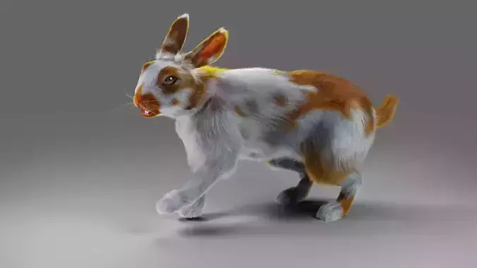 Fur Rabbit Gray V03 Rigged and Animation Low-poly 3D model