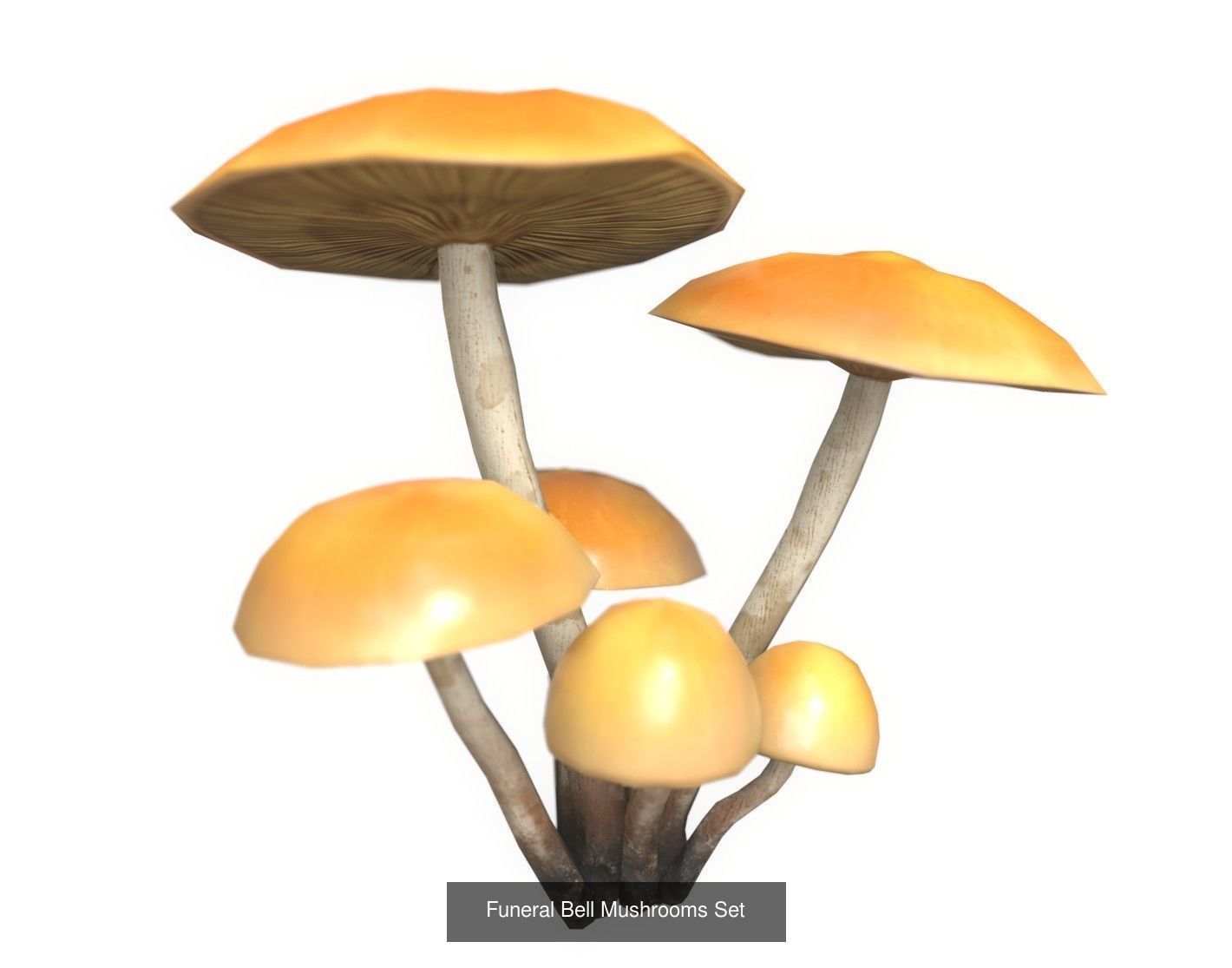 Mushrooms Pack 1 3D Model Collection_7
