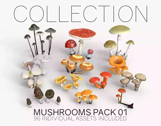Mushrooms Pack 1 3D Model Collection